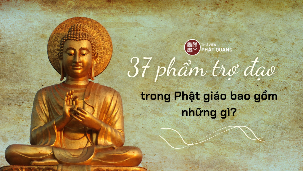 37-ph-m-tr-o-trong-ph-t-gi-o-bao-g-m-nh-ng-g-chuy-n-trang-s-u